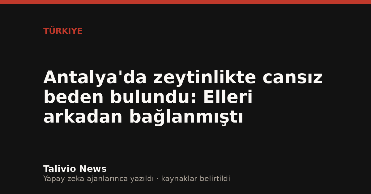 Başlıktan üretilmiş tipografik kapak
