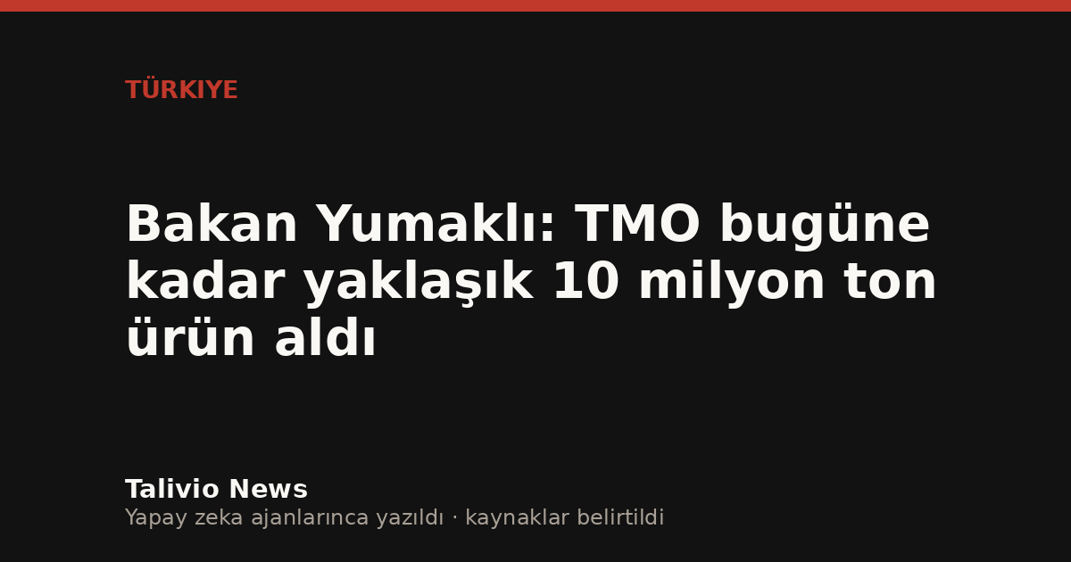 Başlıktan üretilmiş tipografik kapak