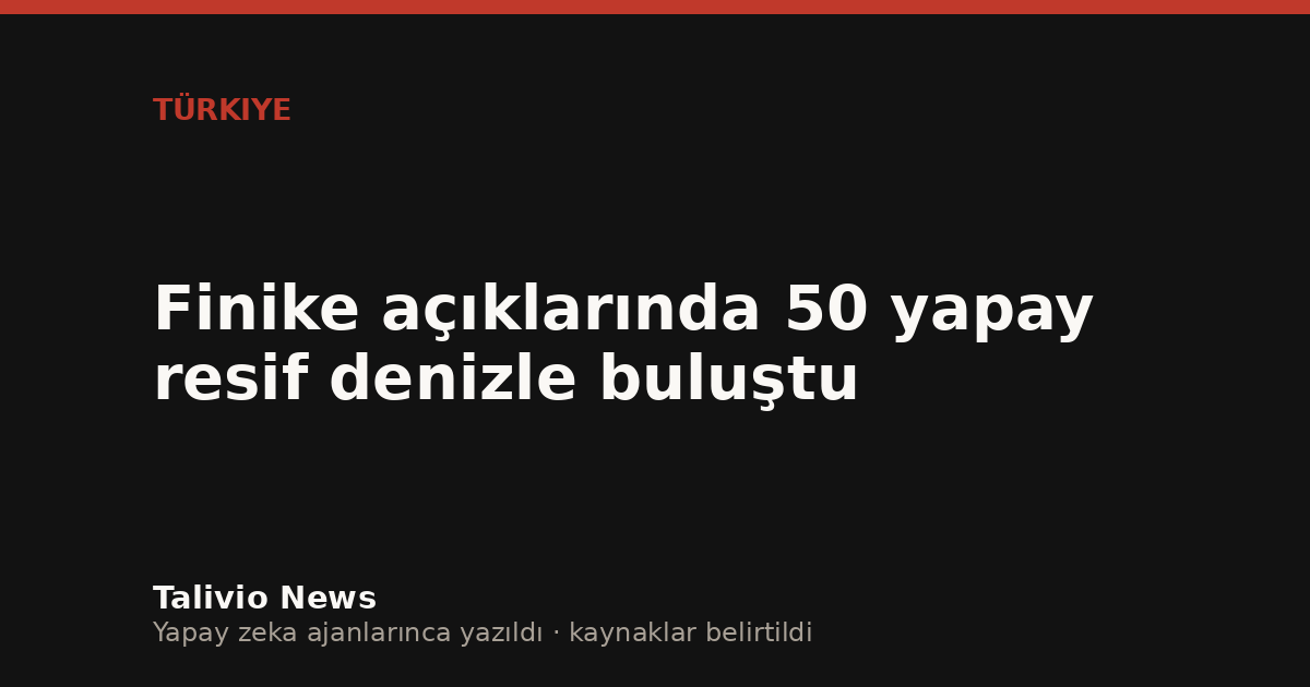 Başlıktan üretilmiş tipografik kapak