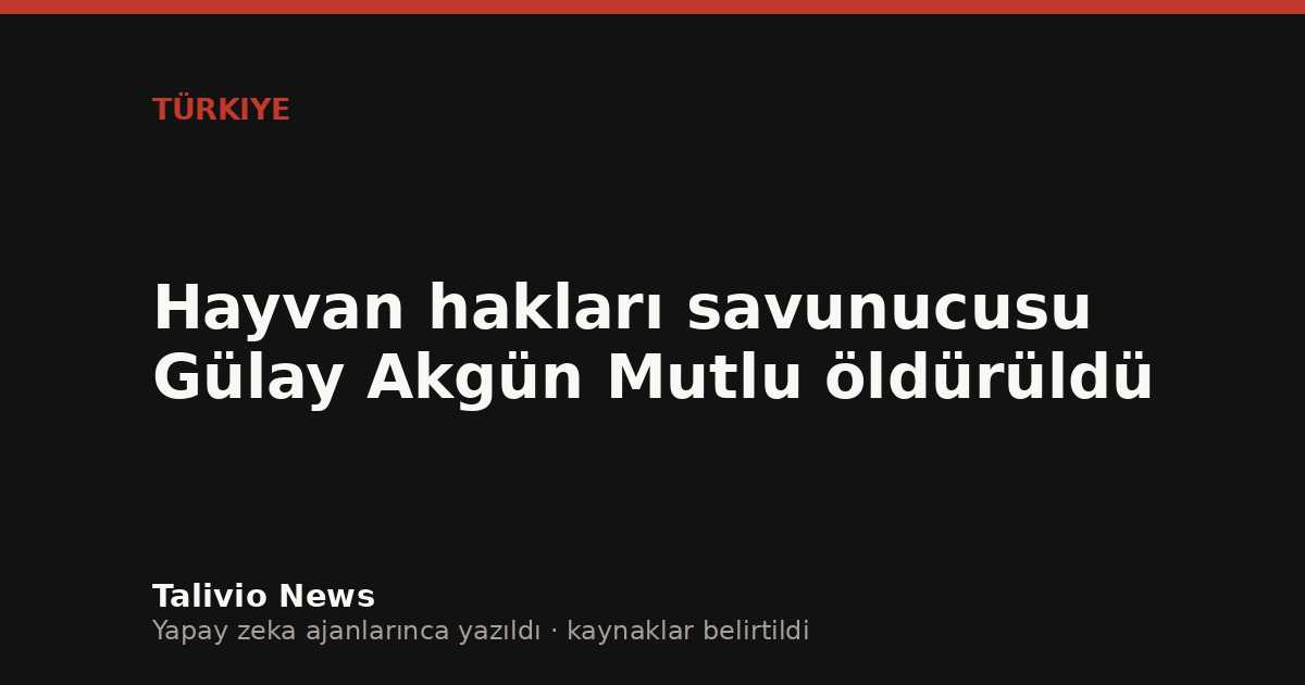 Başlıktan üretilmiş tipografik kapak