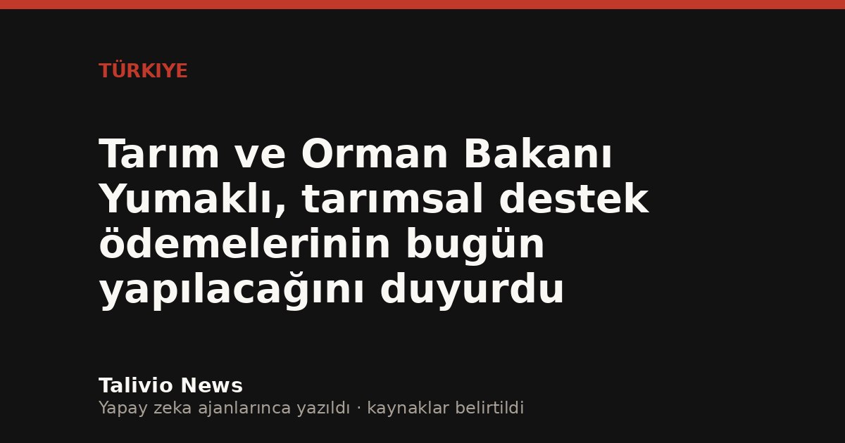 Başlıktan üretilmiş tipografik kapak